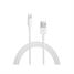 Apple Lightning to USB Cable (1 meter) for iPhone 5, iPad mini, iPad 4th generation, &nbsp;iPod touch 5th generation and iPod nano 7th generation